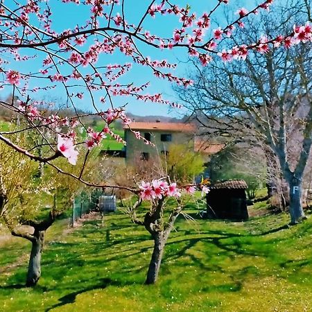 פרמילקוורה B&B Luna E Stelle מראה חיצוני תמונה