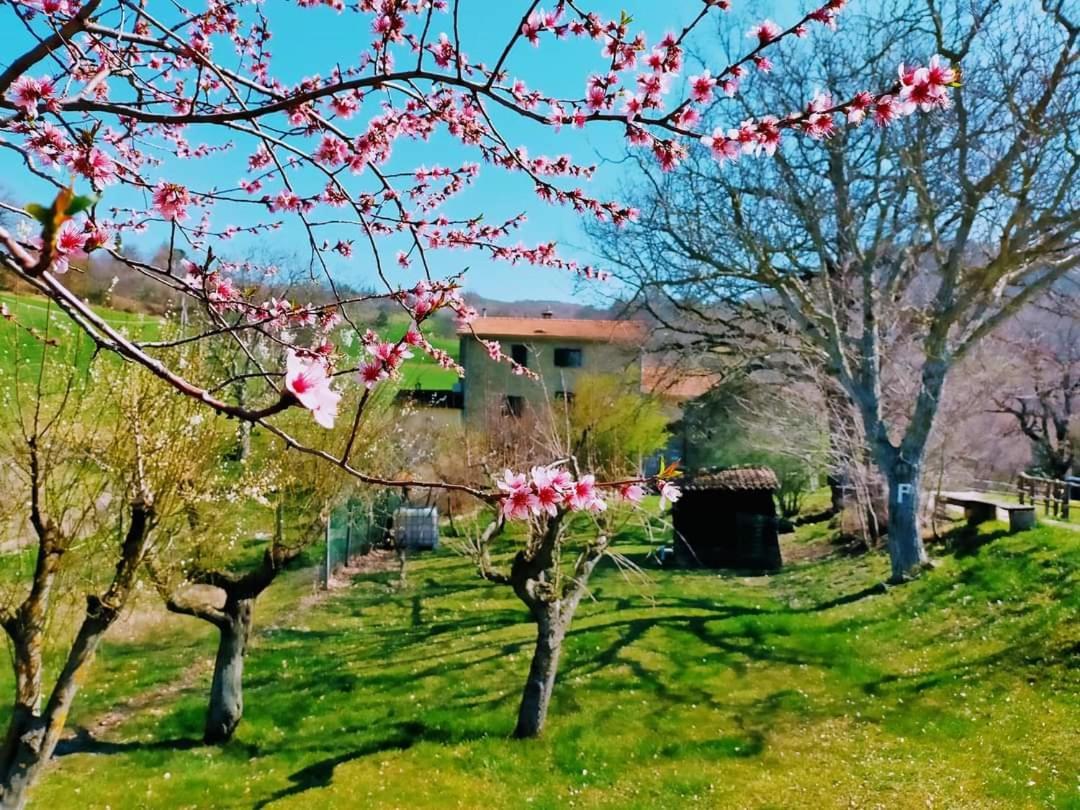 פרמילקוורה B&B Luna E Stelle מראה חיצוני תמונה