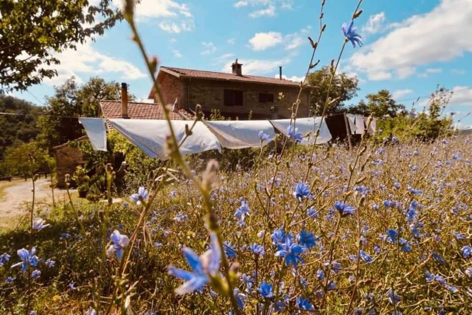 פרמילקוורה B&B Luna E Stelle מראה חיצוני תמונה